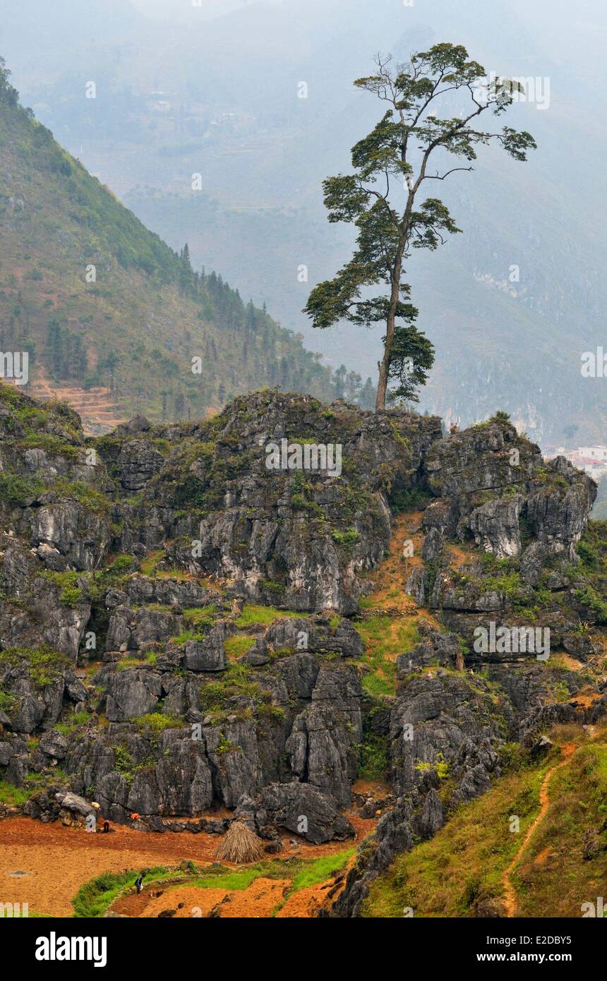 Vietnam Ha Giang Provinz 4C Straße zwischen Dong Van und Meo Vac Landschaften Stockfoto