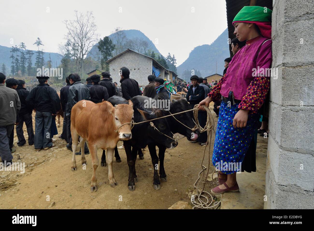 Vietnam Ha Giang Provinz Xa Phin Markt ethnische Minderheit der Black Hmong Stockfoto