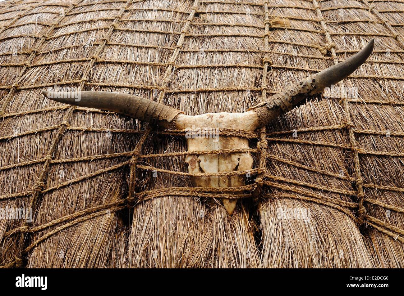 Swasiland Hhohho Bezirk Ezulwini Tal (Tal des Himmels) Mantenga Naturschutzgebiet der Swazi Cultural Village ist ein lebendiges Stockfoto