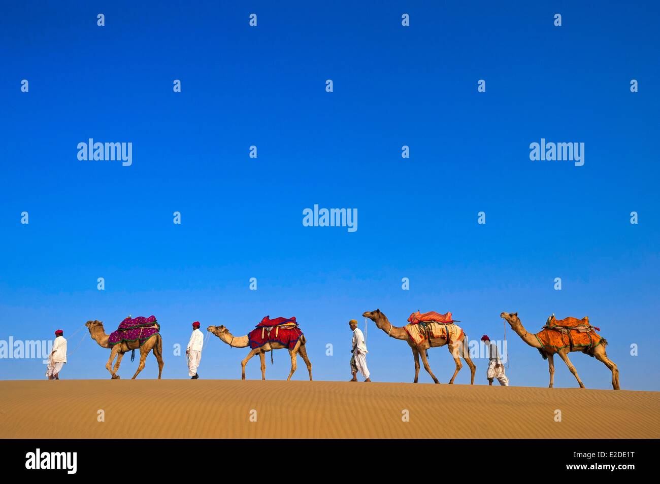 Indien Rajasthan state Jaisalmer Rajput Nomaden mit ihren Kamel-Karawane in der Wüste Thar Stockfoto