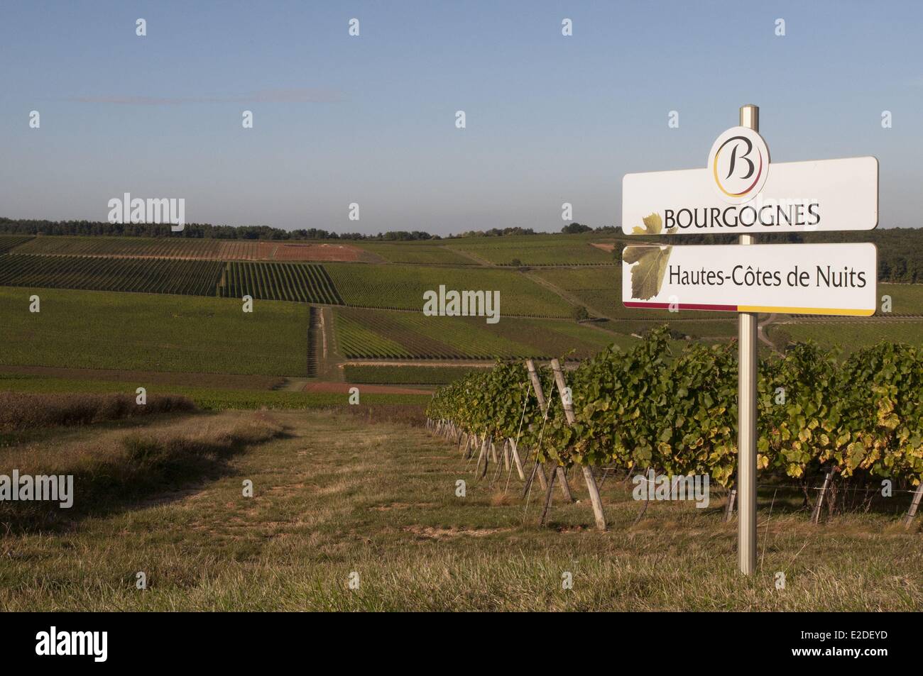 Frankreich-Cote d ' or Weinberge von der Hautes Côtes de Nuits um Chaux Stockfoto