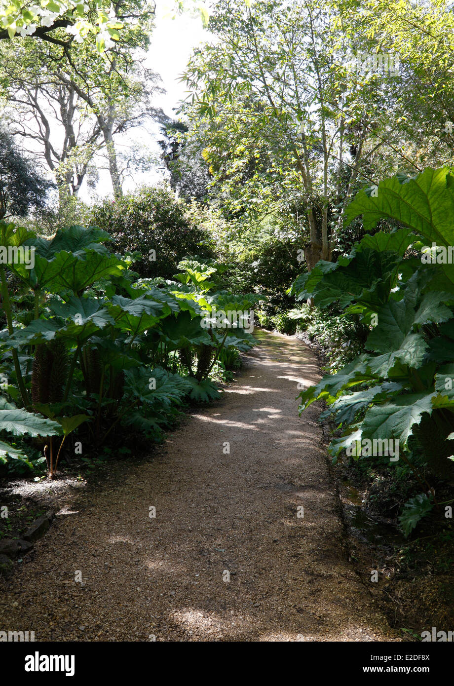 Schattiger gartenweg Stockfotos und bilder Kaufen Alamy