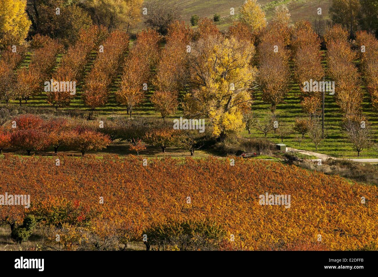 Herbstliche Landschaft Frankreich Vaucluse Luberon Stockfoto