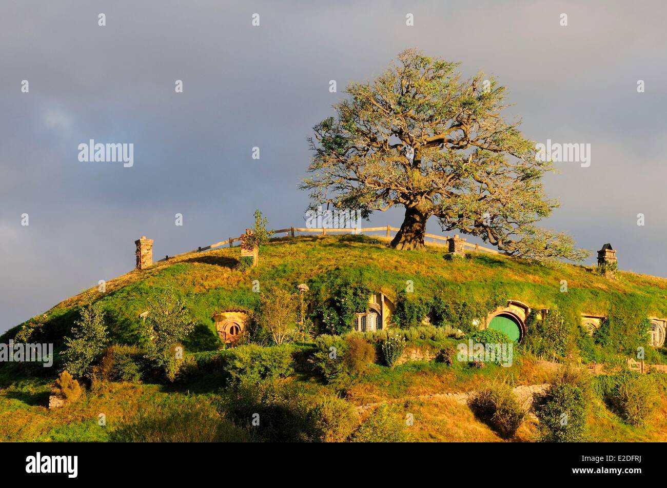 Neuseeland Nord Insel Matamata Hobbiton der Hobbit-Dorf, gebaut für den Film Herr der Ringe von Peter Jackson Stockfoto