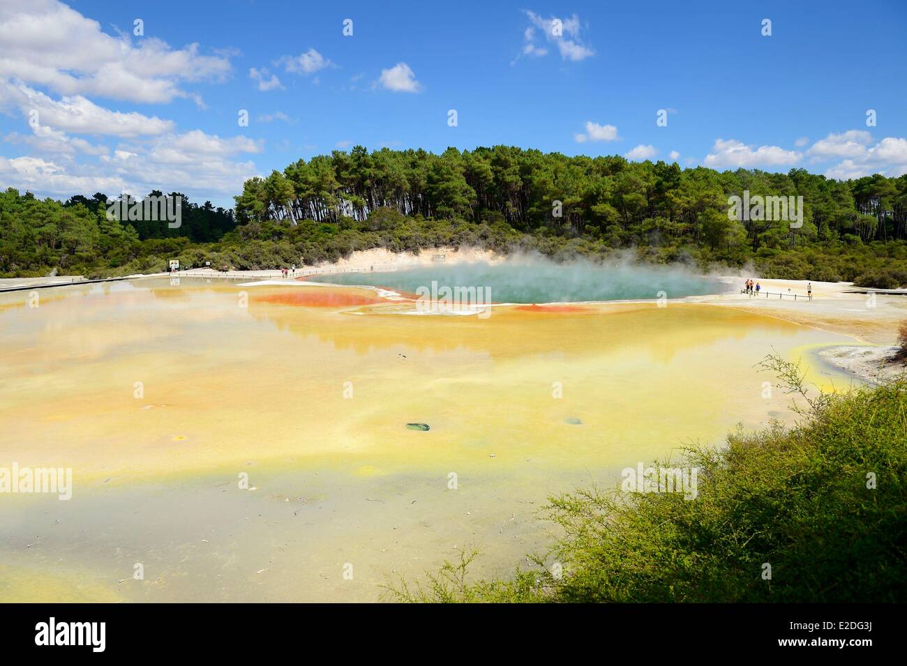 Neuseeland Nord Insel Rotorua District Taupo Volcanic Zone der geothermischen Park von Wai-O-Tapu Champagne Pool Stockfoto