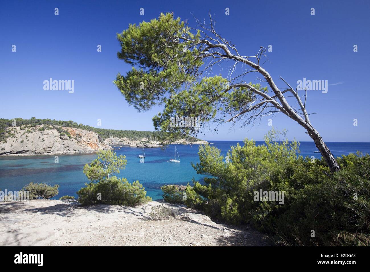 Spanien Balearen Ibiza Cala Xarraca Stockfoto