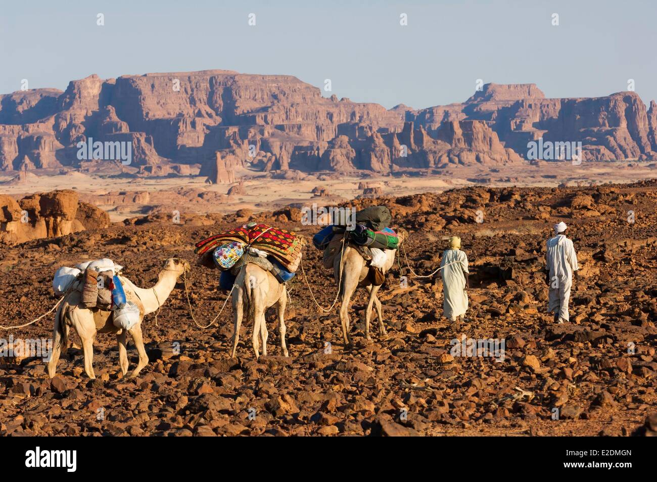 Chad südlichen Sahara Wüste Ennedi-massiv Orogo Plateau Nigrer Nomaden und Wohnwagen Stockfoto