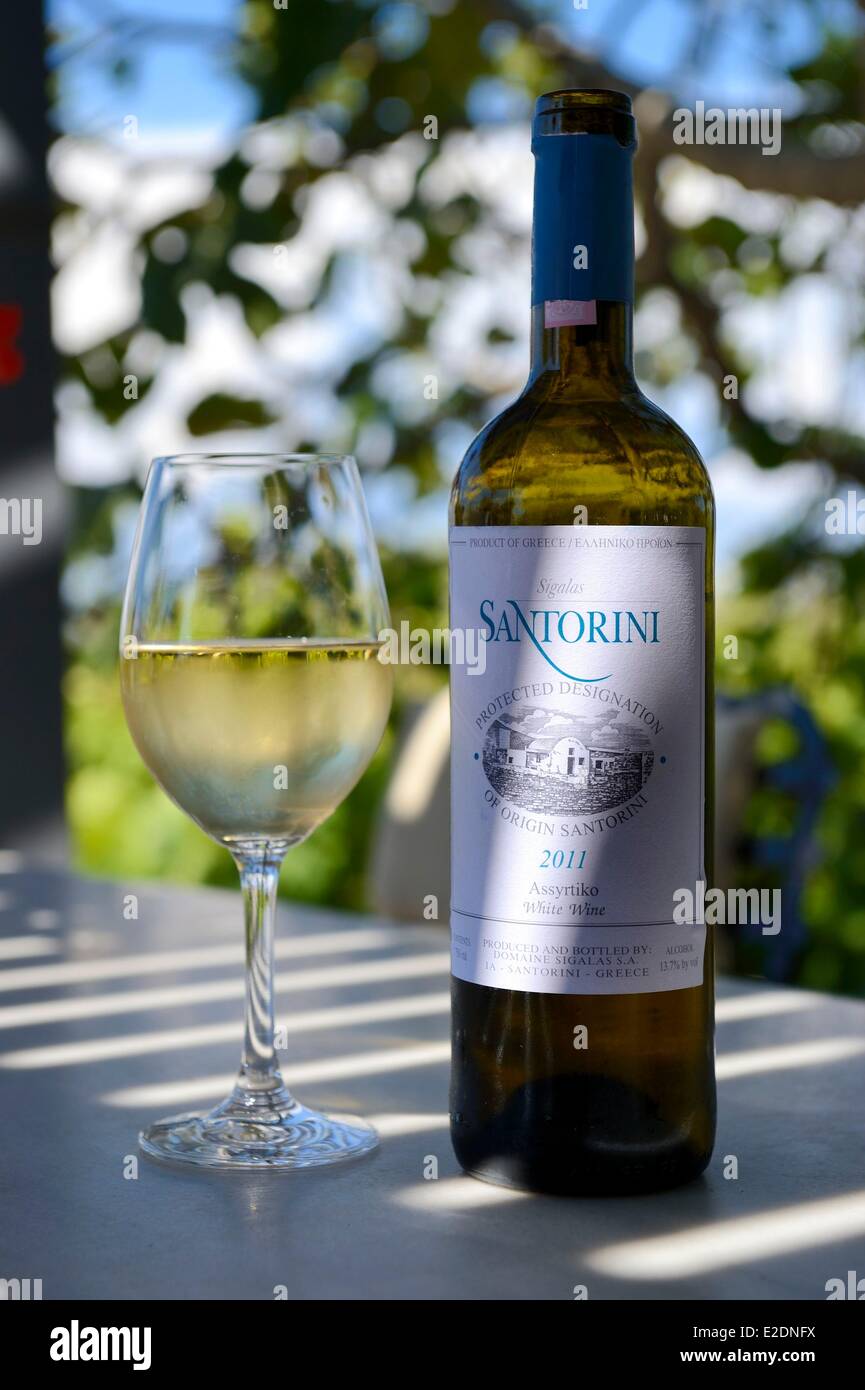 Griechenland Kykladen Ägäis Santorini (Thira oder Thera) Ebene von Oia Domaine Sigalas Weingut Assyrtiko autochthonen Rebsorte Stockfoto
