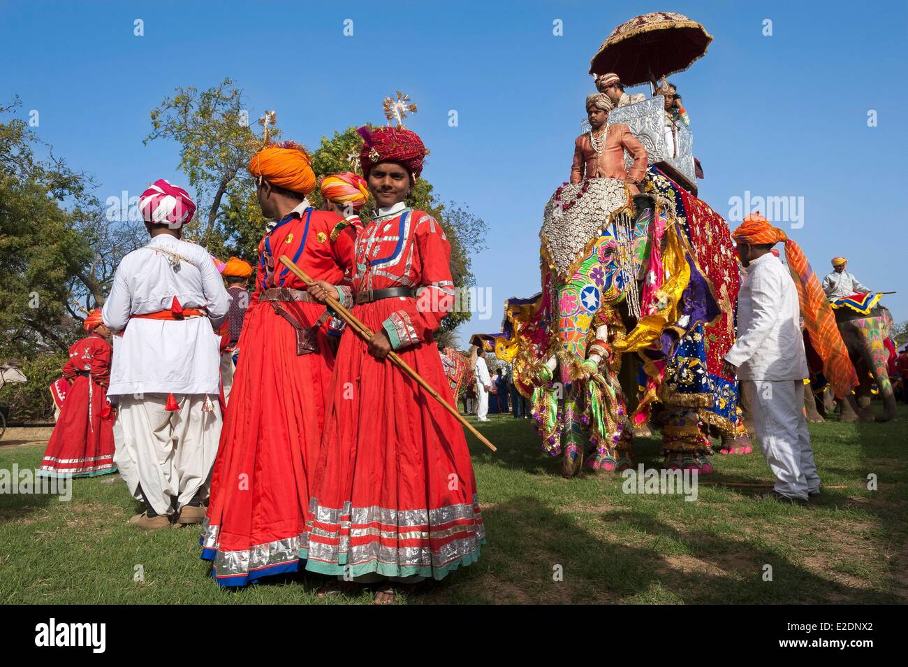 Staat Indien Rajasthan Jaipur Elephant Festival Stockfoto