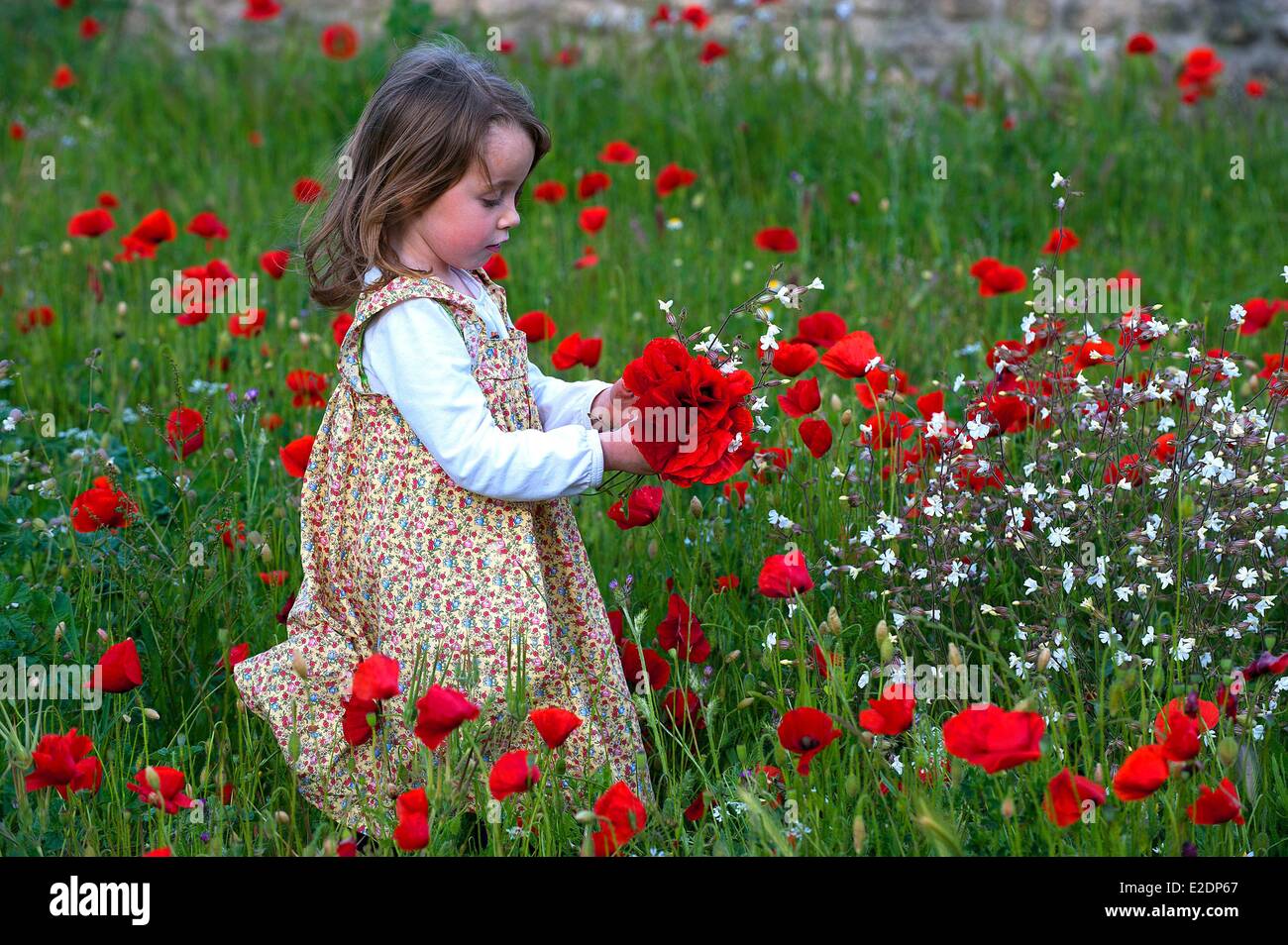 Gard, Frankreich Aigues Vives, ein junges Mädchen in einem Feld von Mohn Stockfoto