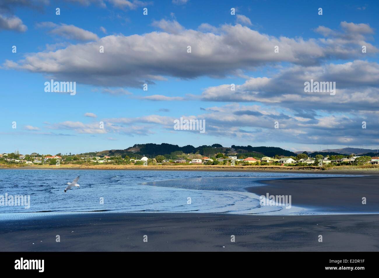 Neuseeland Nord Insel Waikato Region Raglan Te Kopua Strand Stockfoto