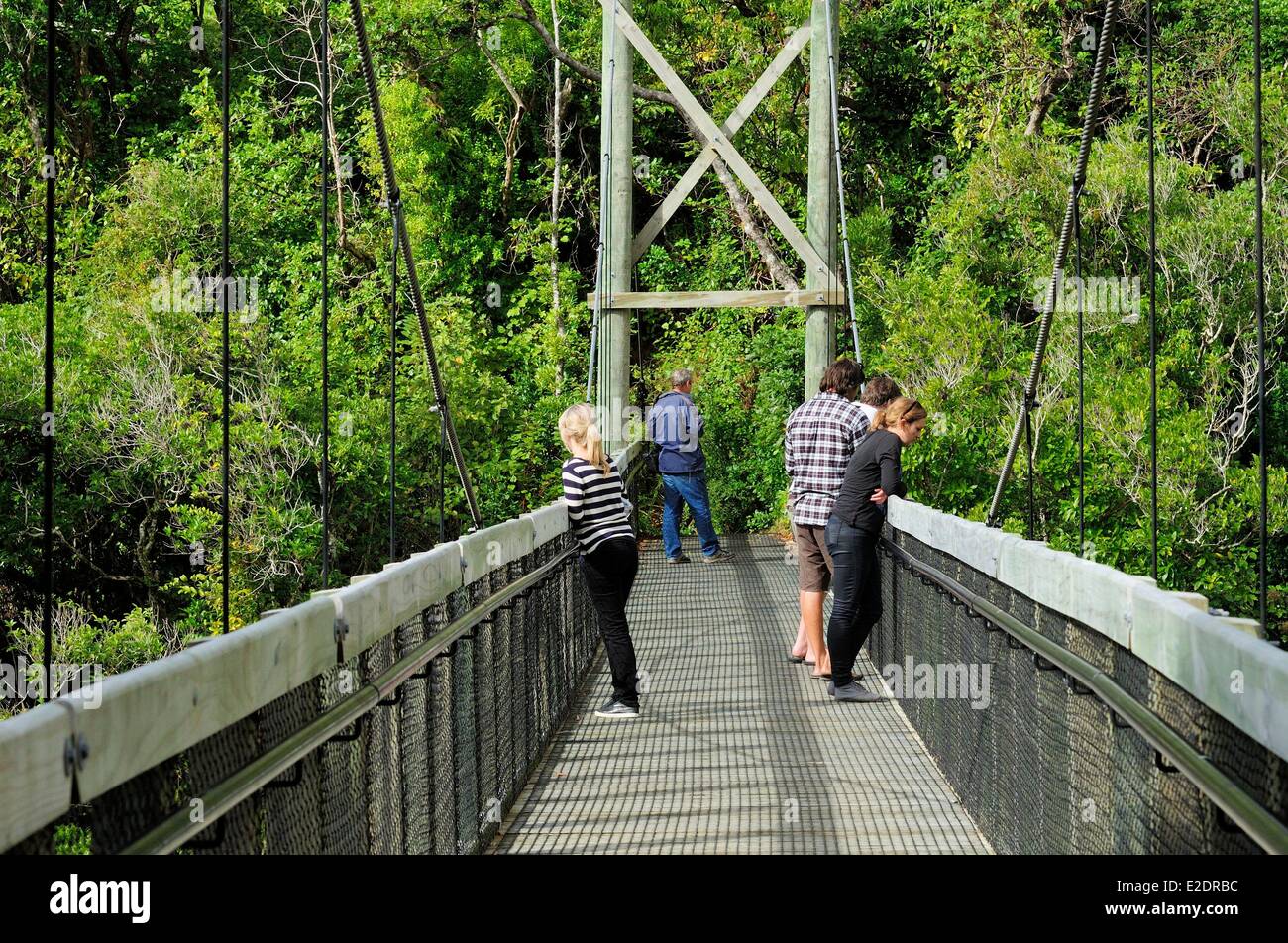 Neuseeland Nordinsel Wellington Zealandia (früher bekannt als Karori Wildlife Sanctuary) in den Hügeln versteckt ist eine Stockfoto