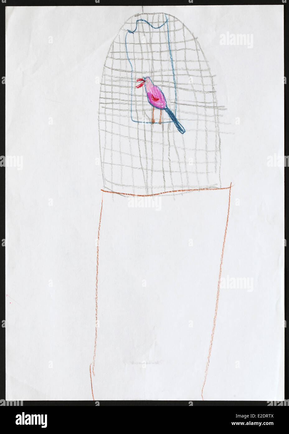 Ursprüngliche Kind Zeichnung von einem lila Papagei in einem Käfig, gezeichnet von einem fünf-jährigen Mädchen. Stockfoto