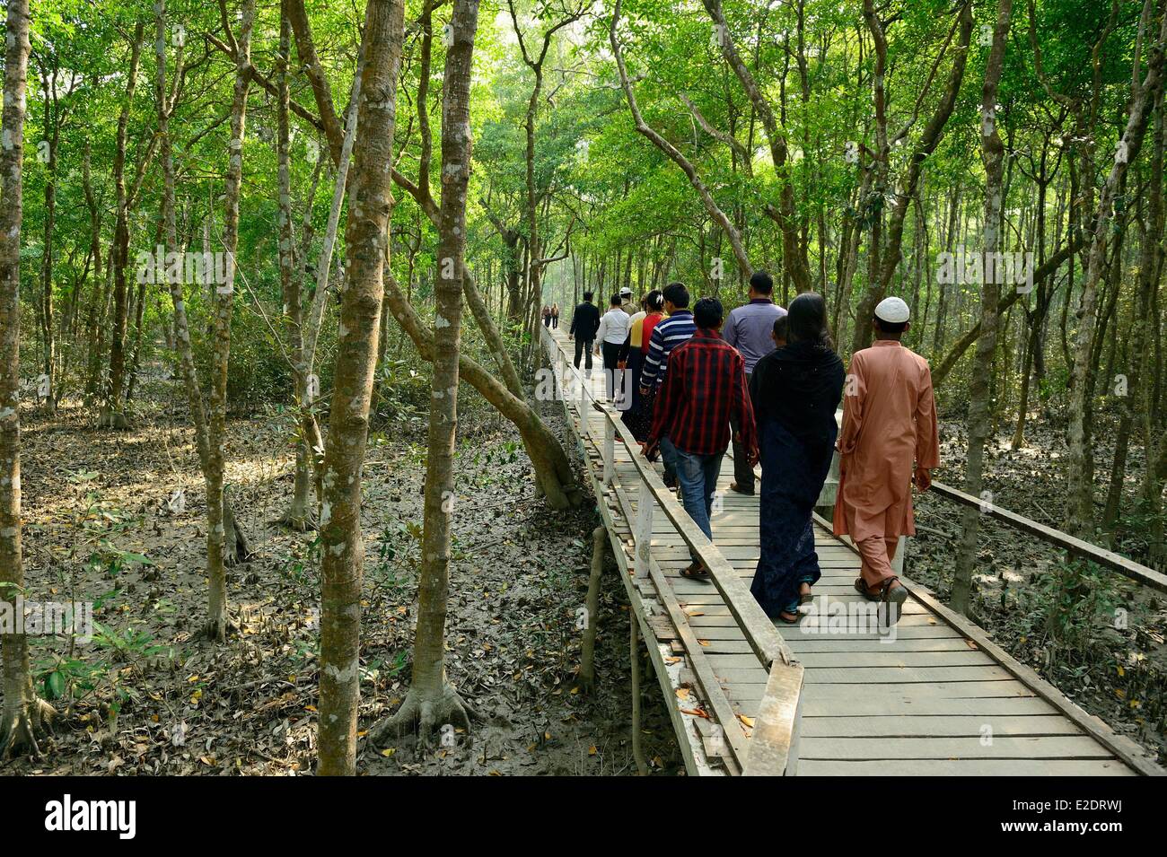 Bangladesch, die als Weltkulturerbe der UNESCO eines der weltweit größten Mangrovenwälder ist der Sundarbans aufgeführt (140 000 ha) Stockfoto