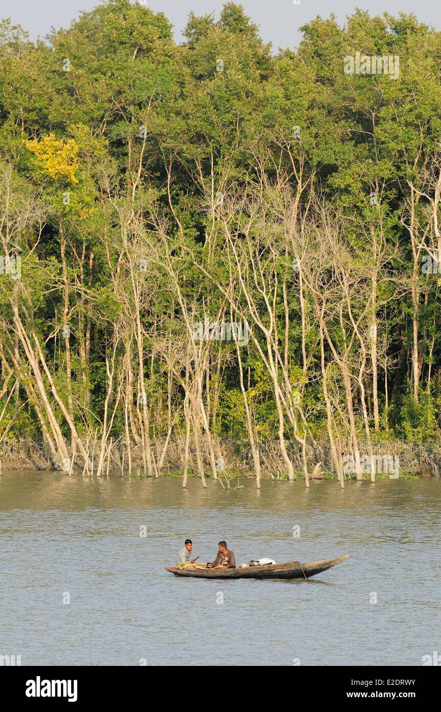 Bangladesch, die als Weltkulturerbe der UNESCO eines der weltweit größten Mangrovenwälder ist der Sundarbans aufgeführt (140 000 ha) Stockfoto