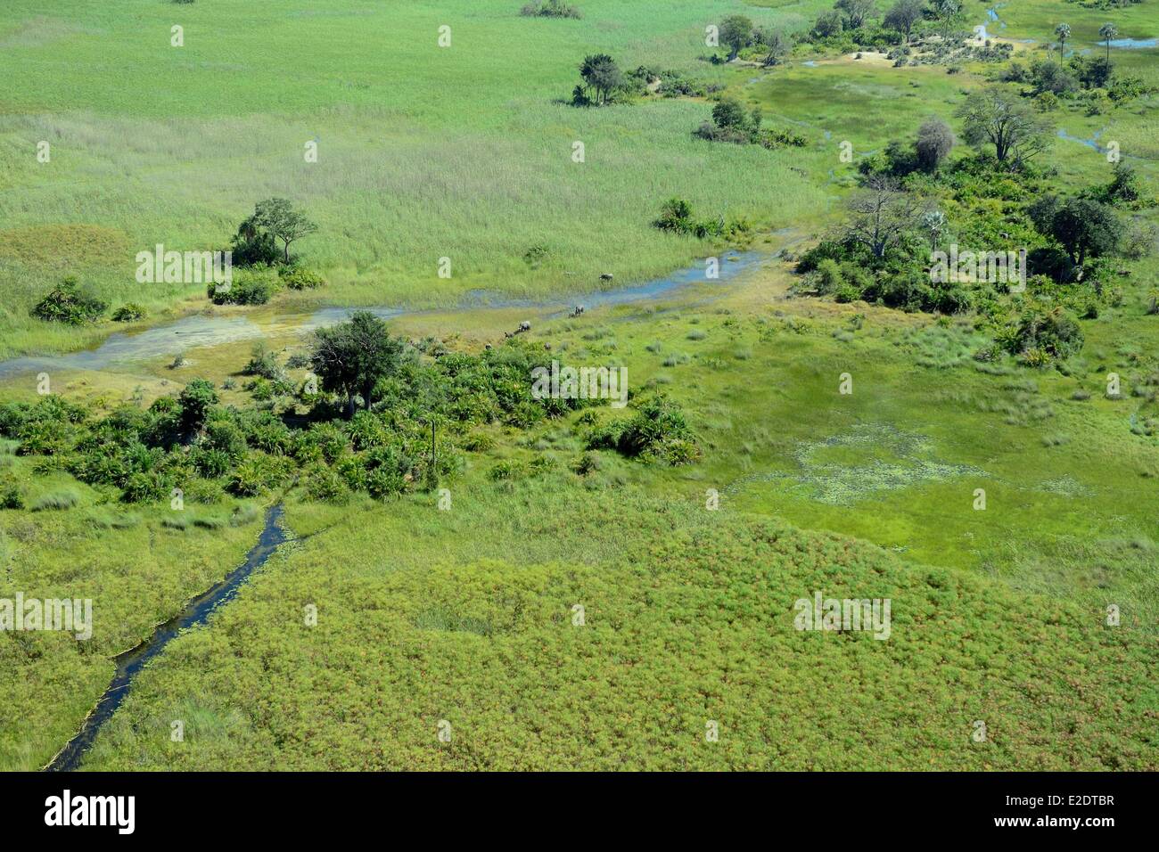 Botswana Nordwesten Bezirk Okavangodelta (Luftbild) Stockfoto