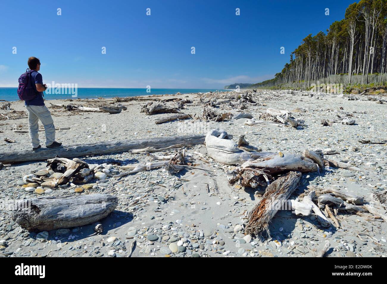 Neuseeland Südinsel Westküste Region Bruce Bay auf der Tasman Sea Stockfoto