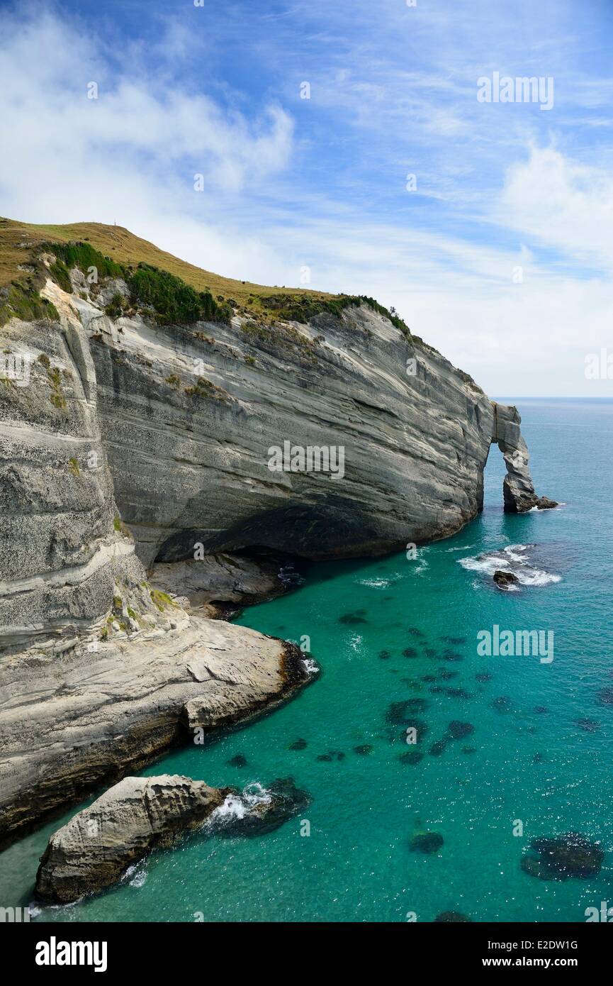 Neuseeland, Südinsel, Tasman Region, 4 x 4 Tour-Bus von Collingwood am Farewell Spit, mit der Agentur Farewell Spit Eco Tour, Farewell Spit ist eine schmale Sand Spit (27 km lang) am nördlichen Ende der Südinsel und Kiwi Schnabel geformt. Die Website gehört zu den fünf größten Naturschutzgebieten der Vögel der Welt, jedes Jahr begrüßen wandernde Arten wie der Basstölpel (Morus Serrator). Die Cape Farewell-Bogen Stockfoto