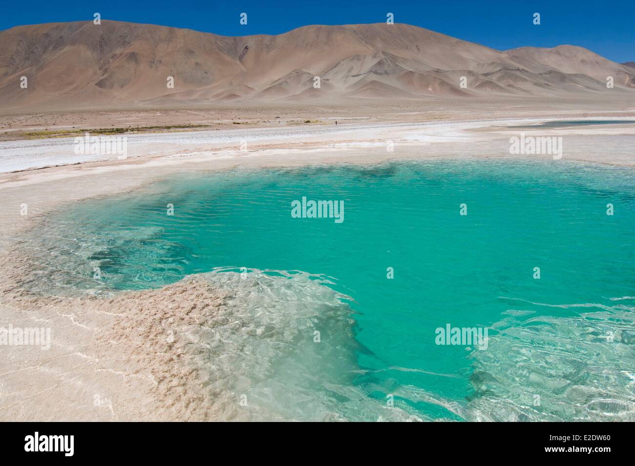 Argentinien Noroeste Tolar Grande Arizaro Salz flach Ojos del Mar Laguna oder Meer Augen Stockfoto