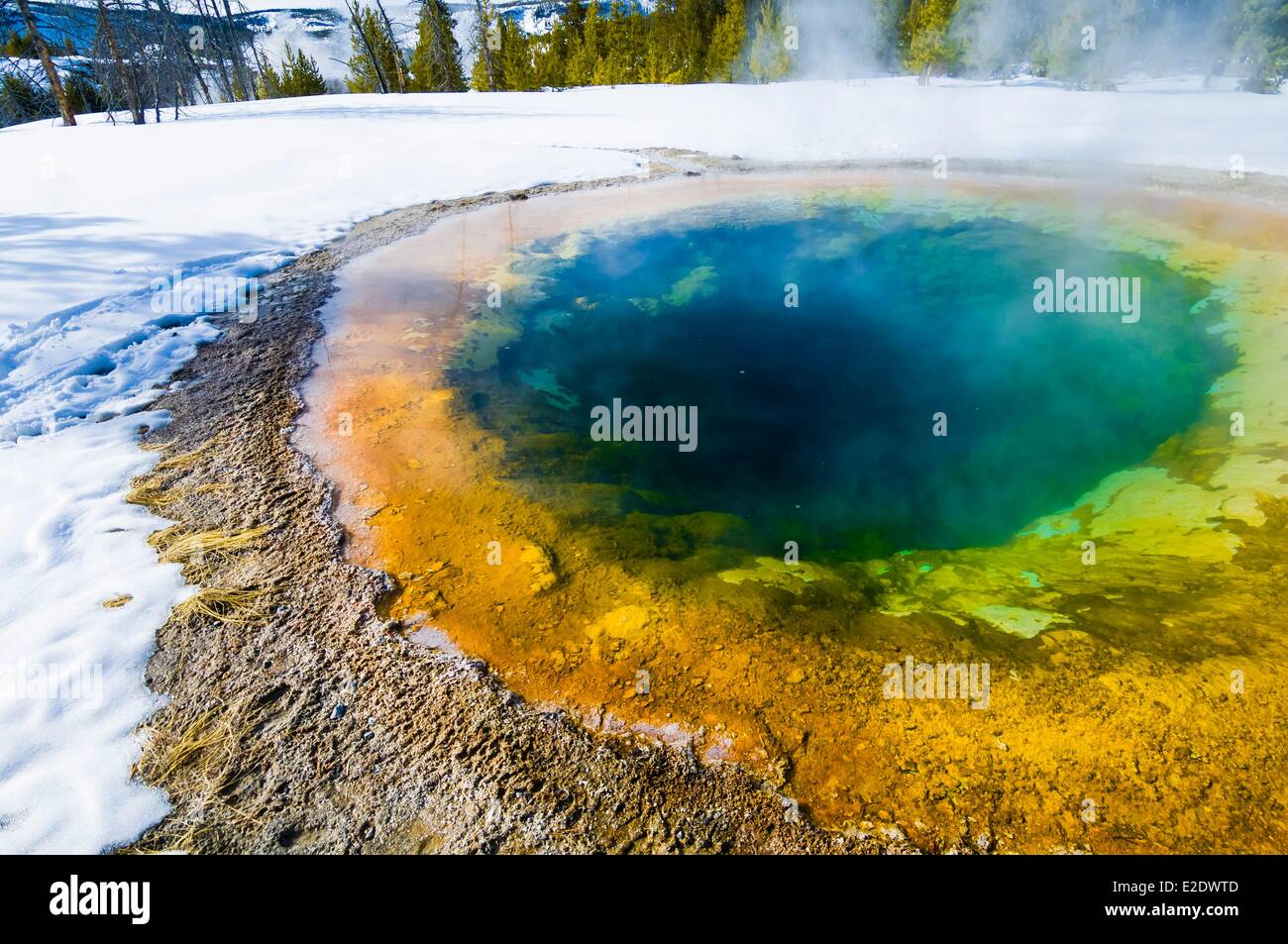 Vereinigten Staaten Wyoming Yellowstone National Park im Winter Thermalbecken Stockfoto