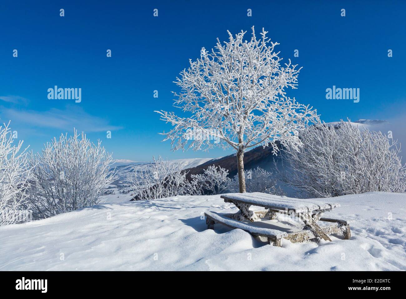 France Cantal Picknick-Tisch und Baum fallenden Schnee Serre Pfad Impradine Tal Parc Naturel Regional des Vulkane d ' Auvergne Stockfoto