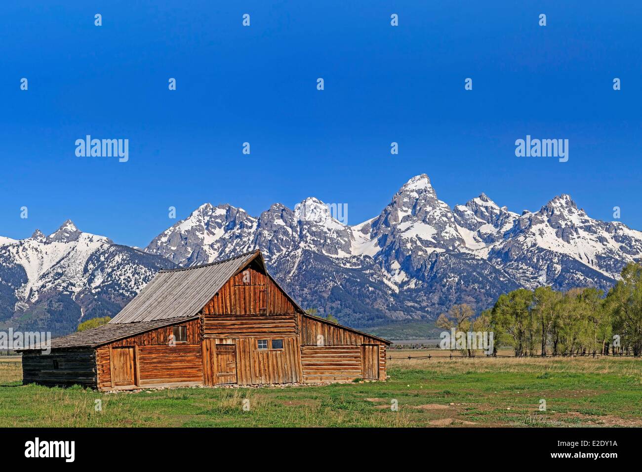 Vereinigten Staaten Wyoming Grand Teton National Park historische Scheune auf Mormone Zeile und die Teton Range mit Grand Teton (4.199 Stockfoto