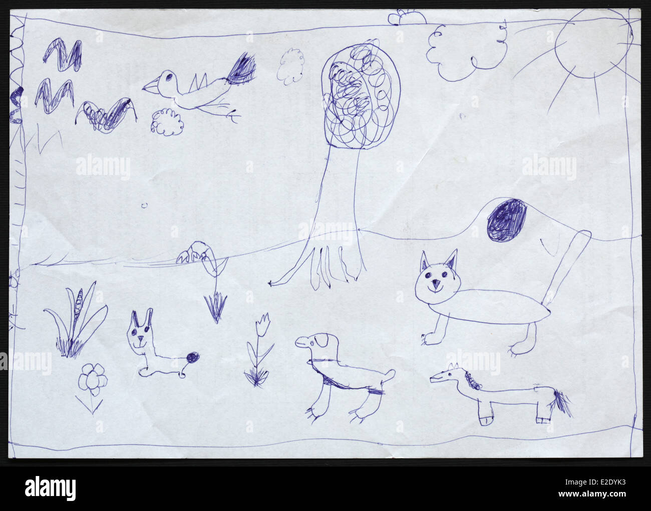 Ursprüngliche Kind ist ein Hund und eine Katze und ein Pferd und einen Vogel und ein Kaninchen, gezeichnet von einem fünf-jährigen Mädchen Zeichnung. Stockfoto