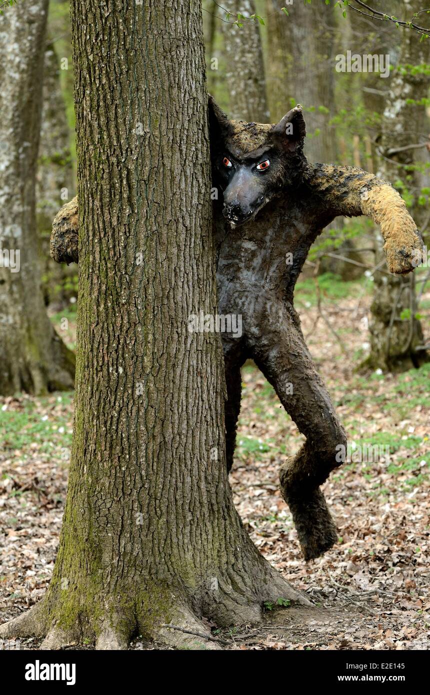 Frankreich Mosel Rhodos Animal Park von Sainte Croix Trail jagen Wölfe Wolf hinter einem Baum Stockfoto