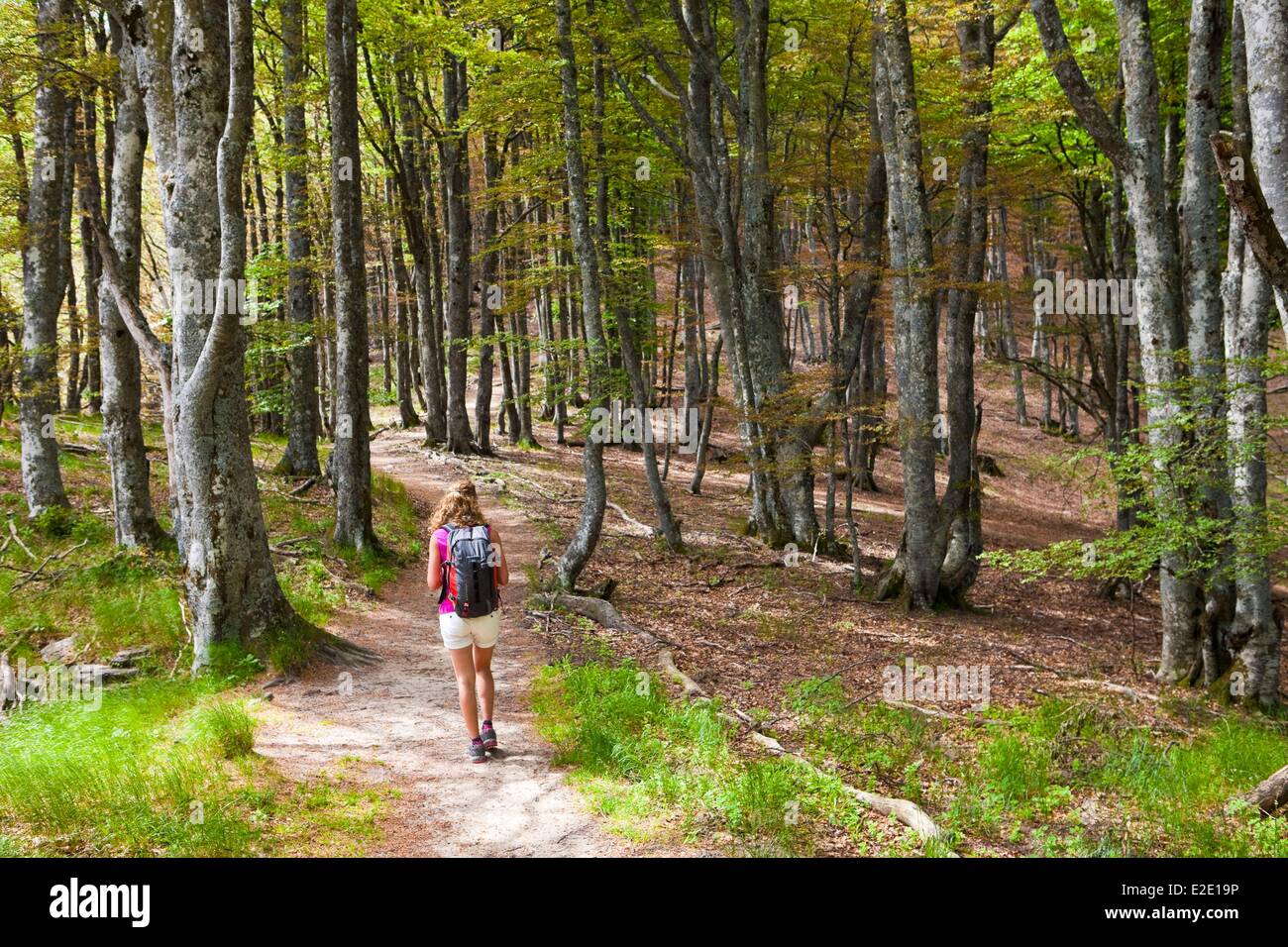 Frankreich-Drome Wald Saou (höchste thront können in Europa) Frau üben Wandern Stockfoto