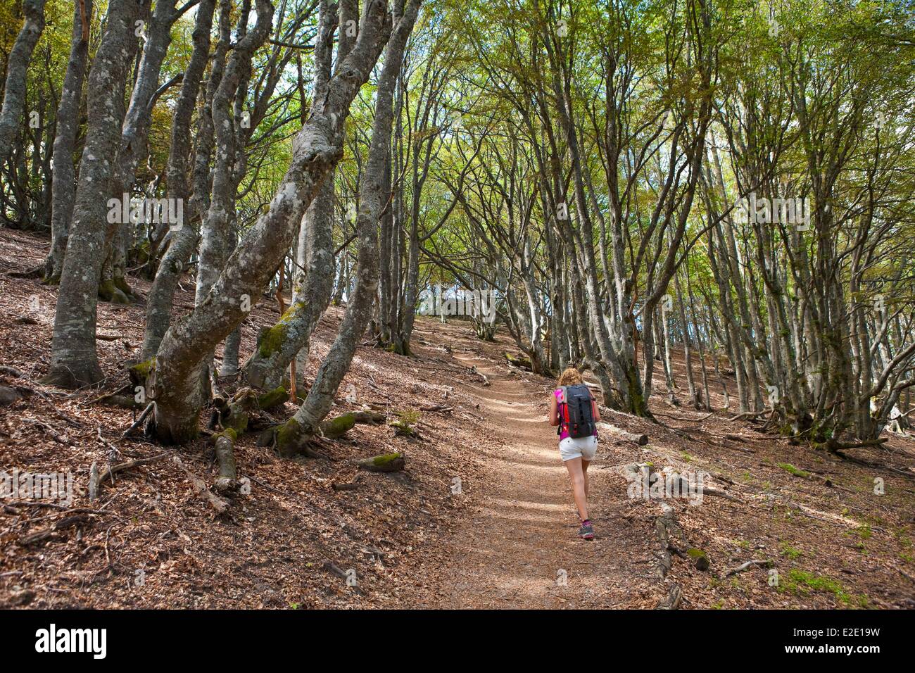 Frankreich-Drome Wald Saou (höchste thront können in Europa) Frau üben Wandern Stockfoto