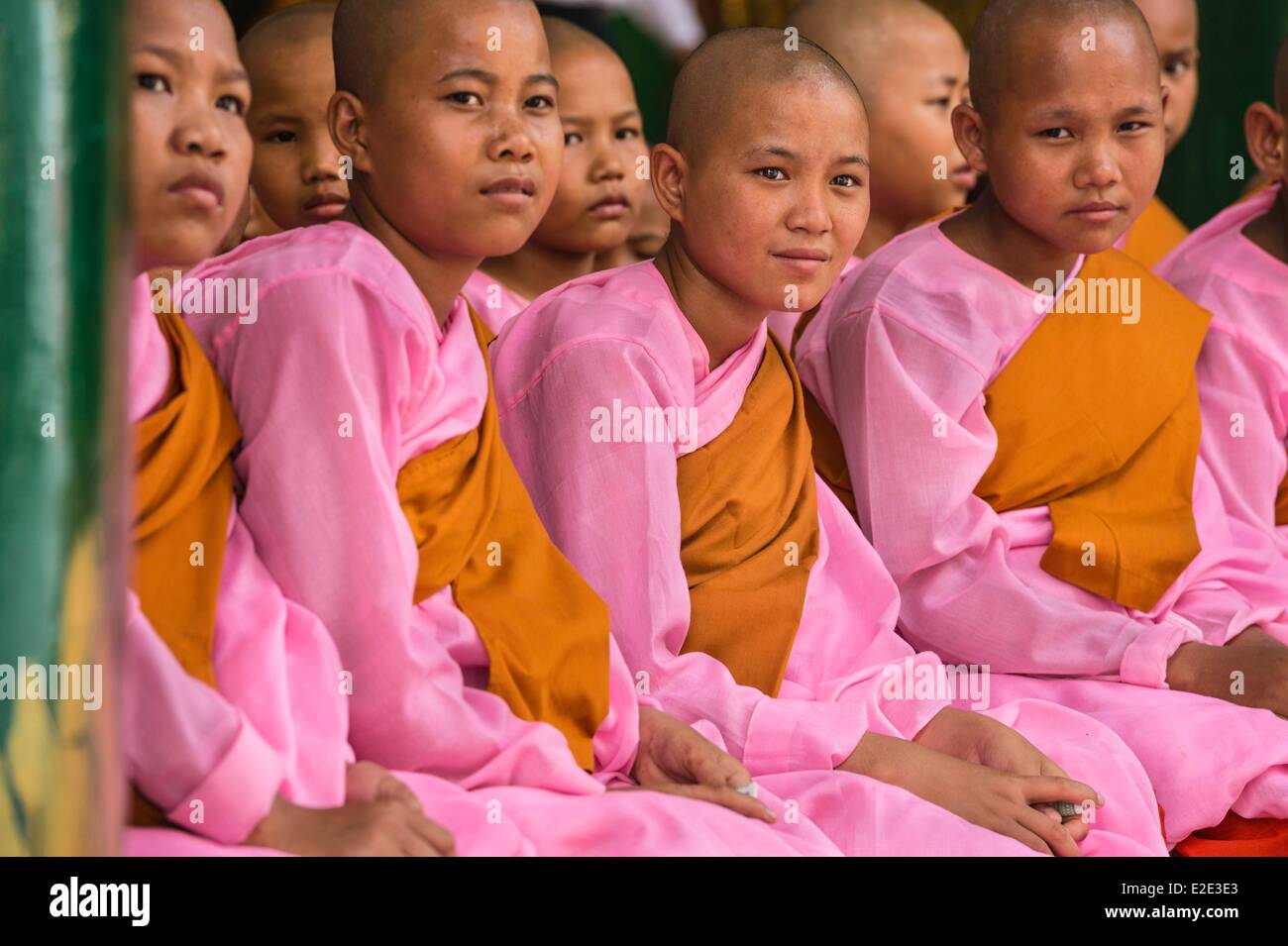 Myanmar (Burma) Yangon Division Yangon Bezirk Kandawgyi Shwedagon Pagode Nonnen beten Stockfoto