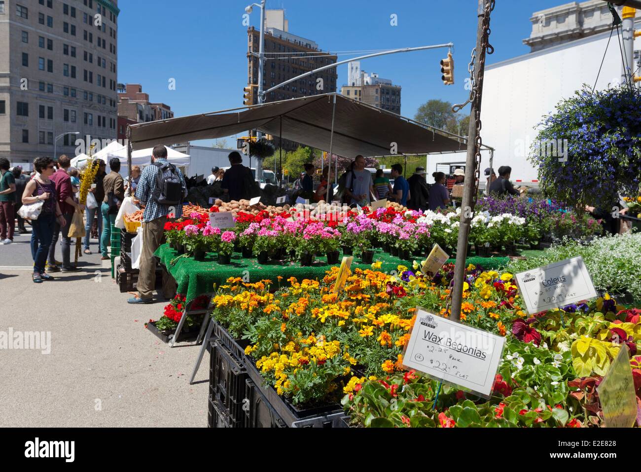 Vereinigte Staaten, New York, Brooklyn, Bauernmarkt am Grand Army Plaza in der Nähe von Prospect Park Stockfoto