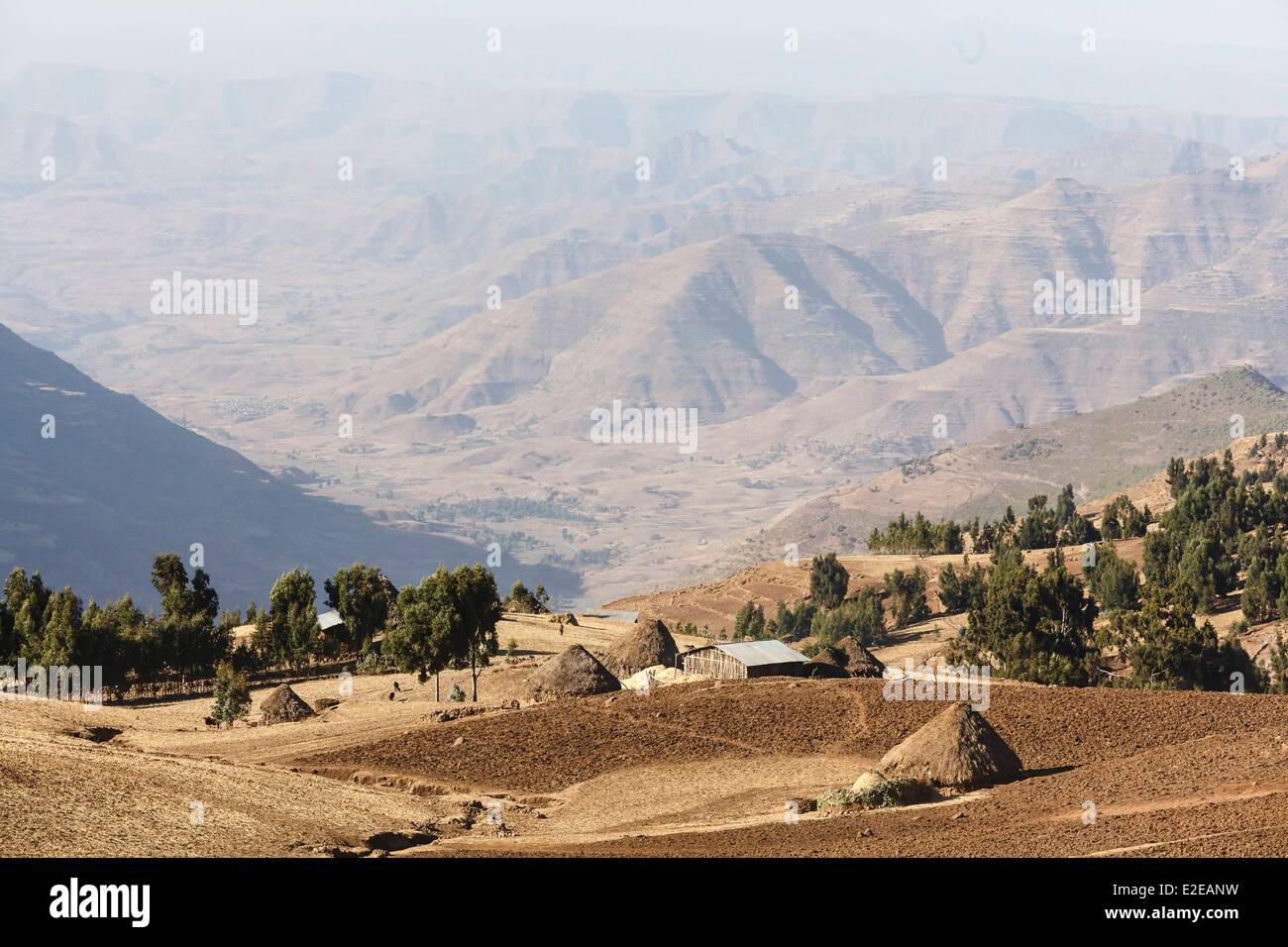 Äthiopien, aufgeführten Amhara Region, Debark, Simien Mountains National Park als Weltkulturerbe von der UNESCO zum Farmen auf dem Hochplateau Stockfoto