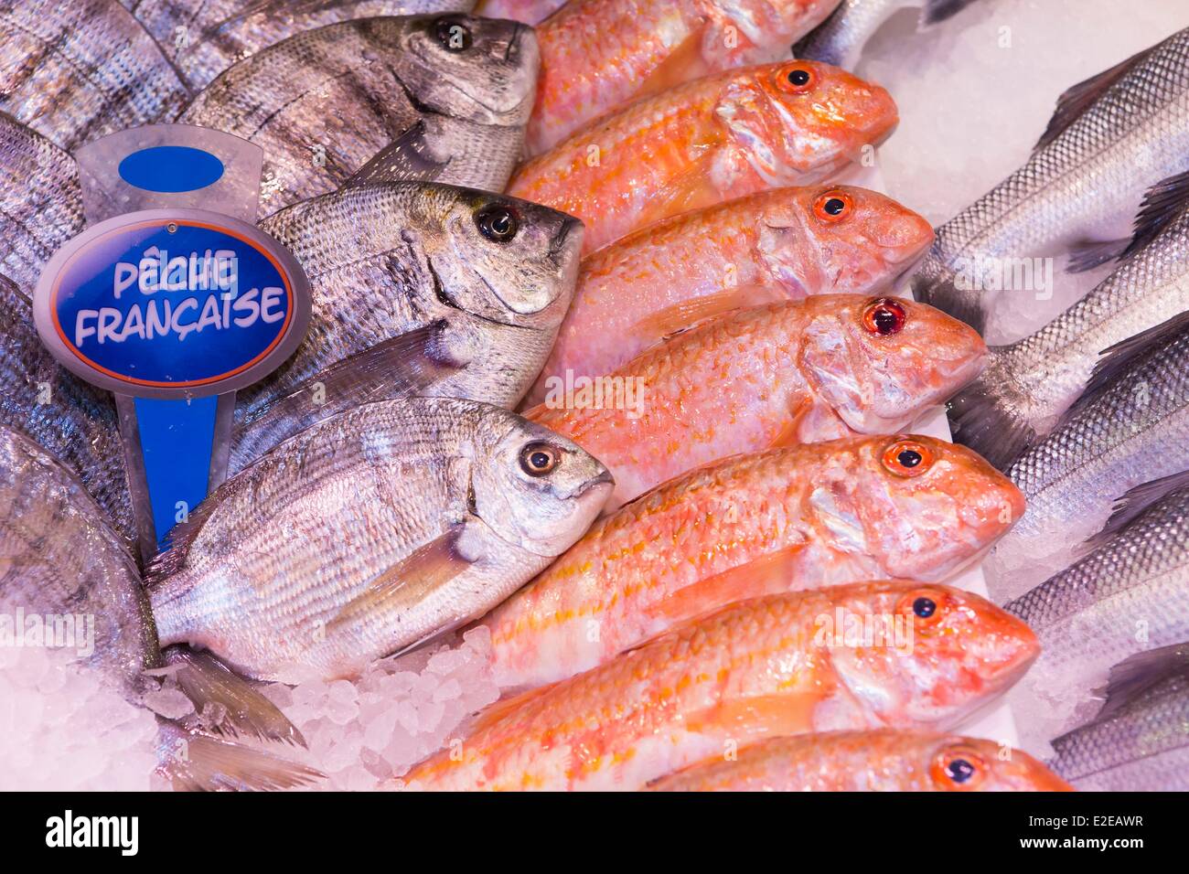 Frankreich, Charente Maritime, Ile de Re, Le Bois Plage de Re, Fisch stand in der Markthalle Stockfoto