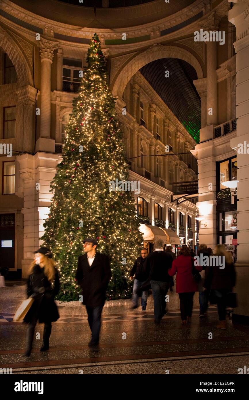 Niederlande, Den Haag, den Haag, Weihnachtsbaum am Eingang des Selxyz  Buchhandlung in der Passage, die Einkaufsstraße Stockfotografie - Alamy