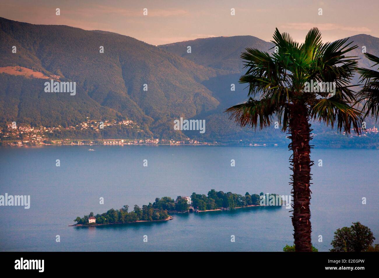 Schweiz, Ticino Grafschaft, Lago Maggiore, Brissago Inseln Stockfoto