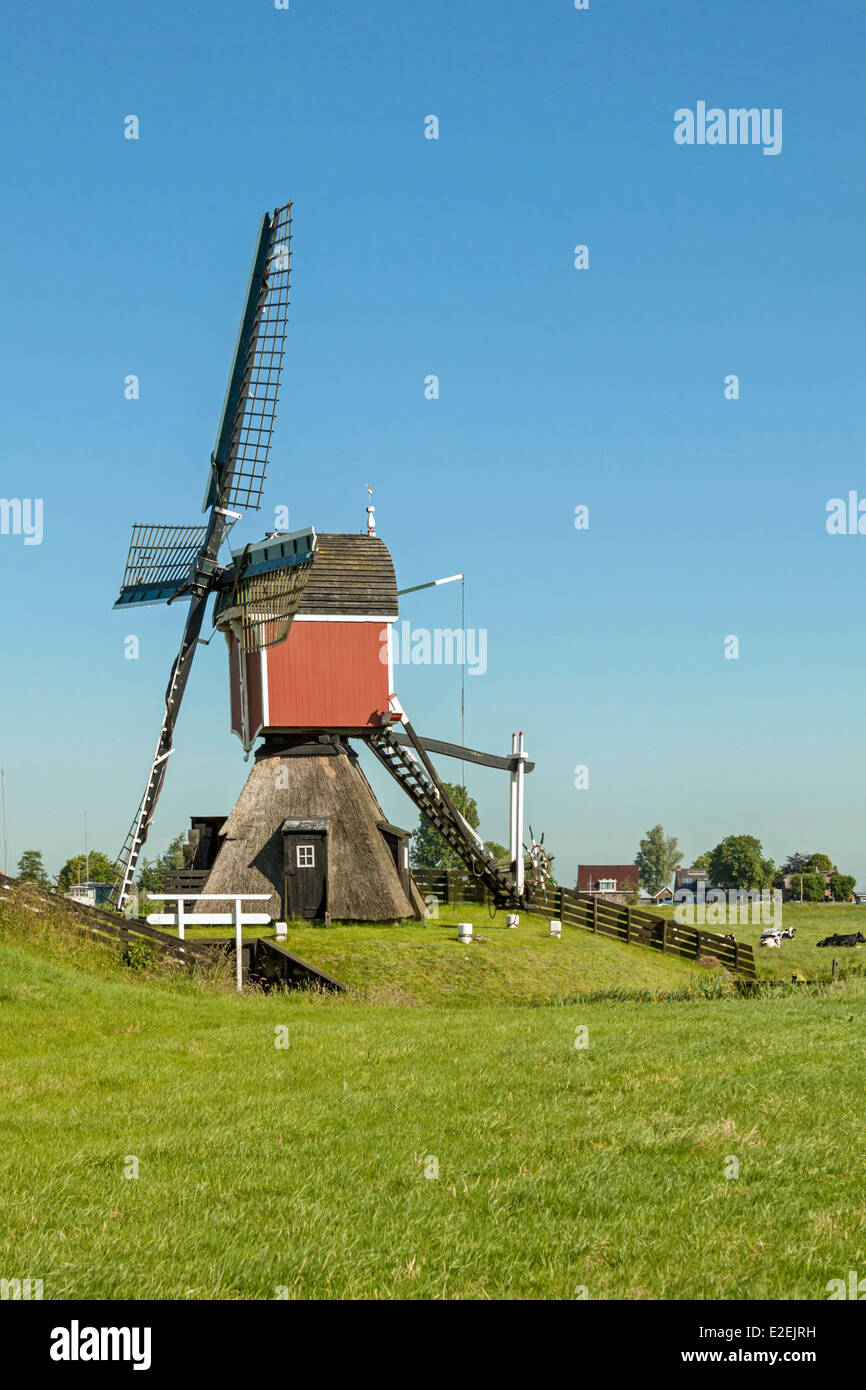 Grosmolen, eine hohle Bockwindmühle oder Niederländisch '' Wipmolen'' genannt, befindet sich im Altstrecke, Südholland, Niederlande. Stockfoto