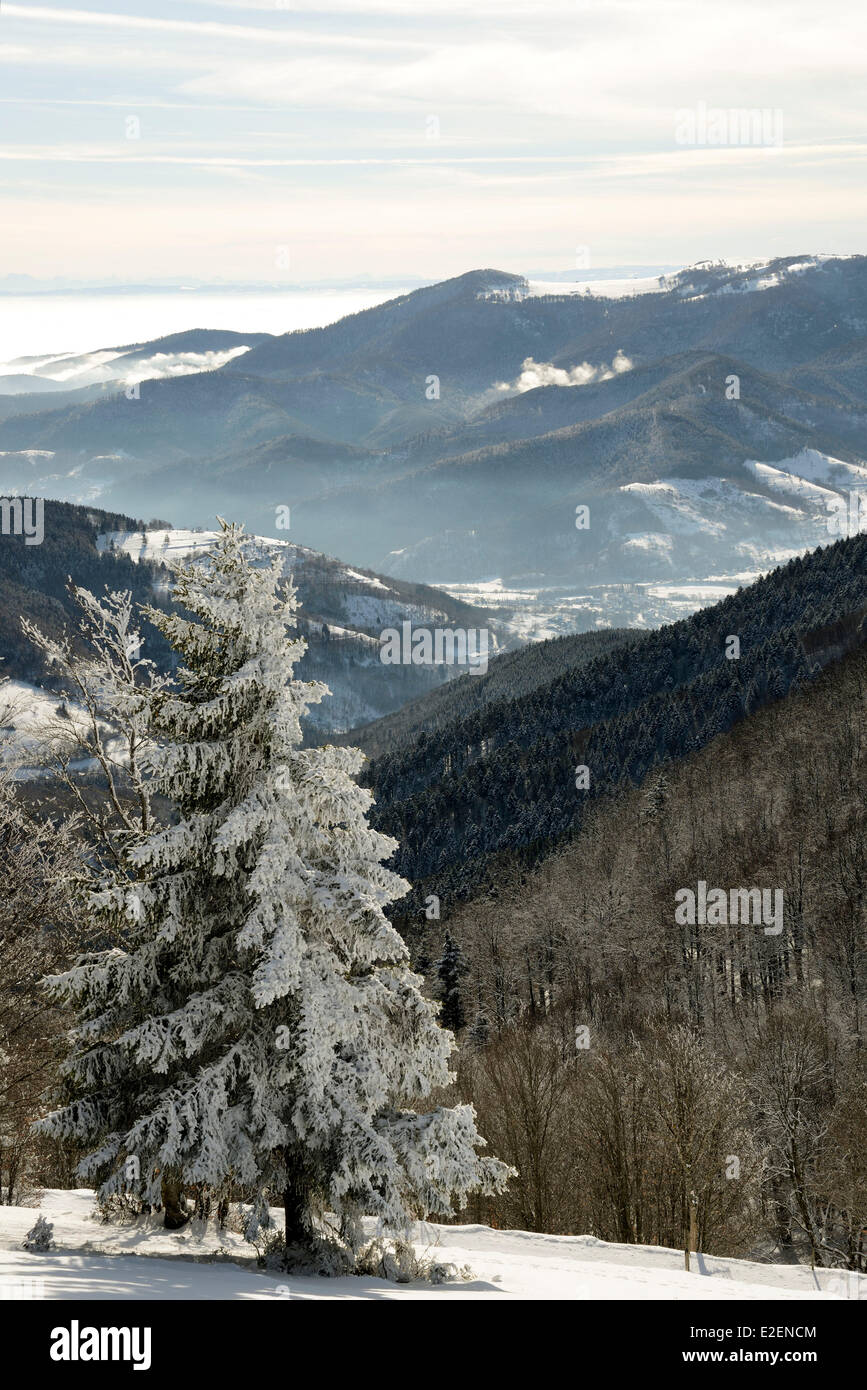 Frankreich-Haut-Rhin Hautes Vosges seit Markstein Haute Thurtal Rossberg Rheinebene unter Wolken Schweizer Jura und Berner Alpen Stockfoto