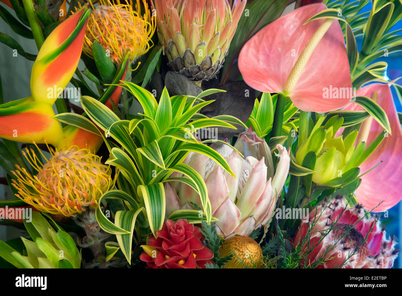 Anzeige der tropischen Blumen. Bukett von tropischen Blumen Maui, Hawaii Stockfoto