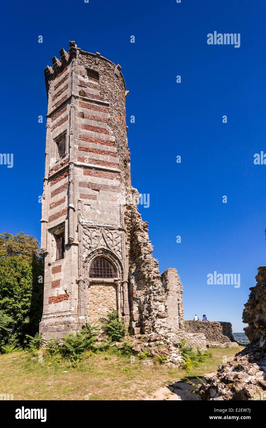 L'Amaury Frankreich Yvelines Montfort die Burg aus dem 12. Jahrhundert, die während des Hundertjährigen Krieges zerstört bleibt die Ruinen Stockfoto