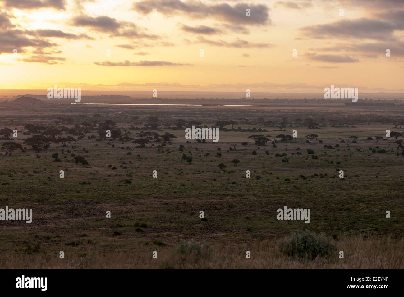 Kenia, Amboseli-Nationalpark, im Morgengrauen (Luftbild) Stockfoto