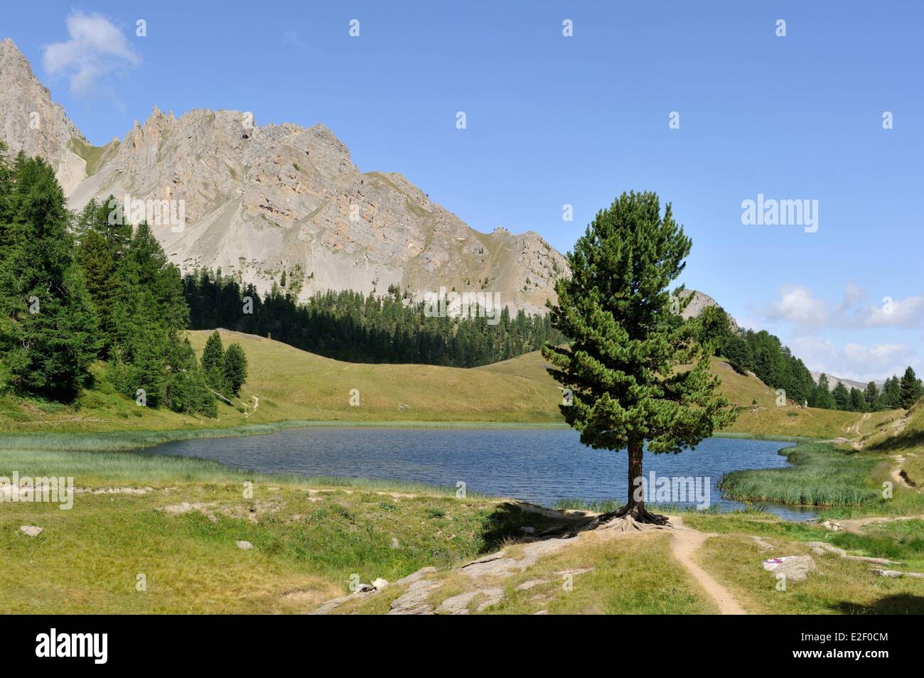 Frankreich, Hautes Alpes, in der Nähe von Ceillac, Lac Miroir (2214 m), regionalen natürlichen Parks von Queyras Stockfoto