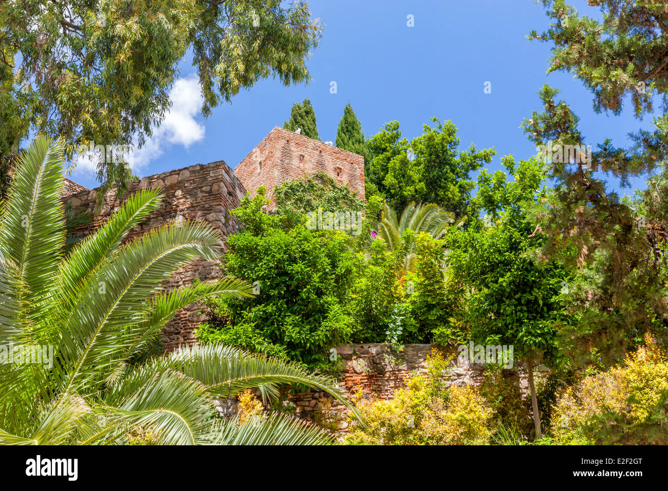 Alcazaba Festung, Málaga, Costa Del Sol, Andalusien, Spanien, Europa. Stockfoto