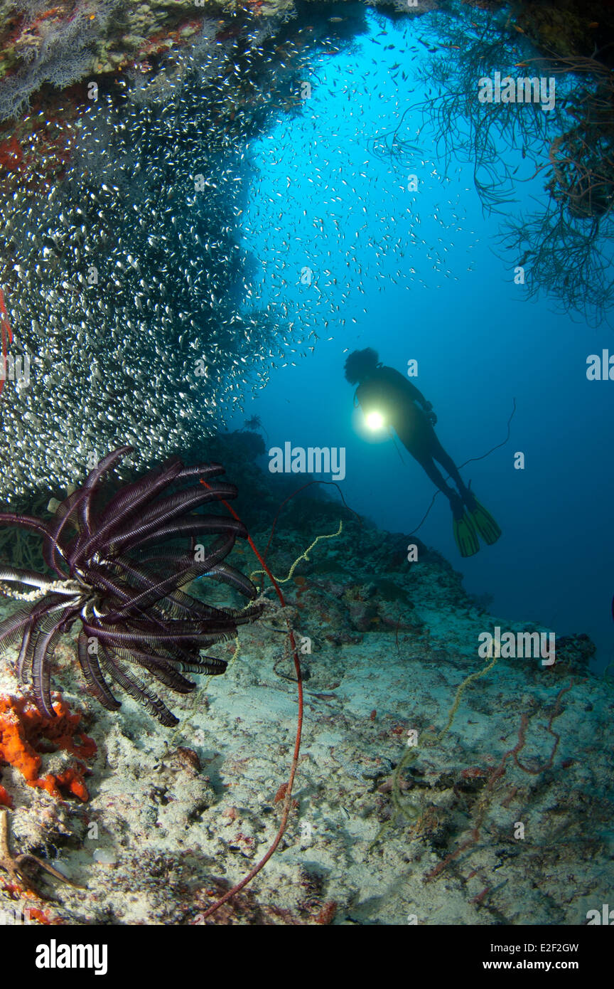 Taucher in einer Höhle in Dhaalu Atoll Stockfoto