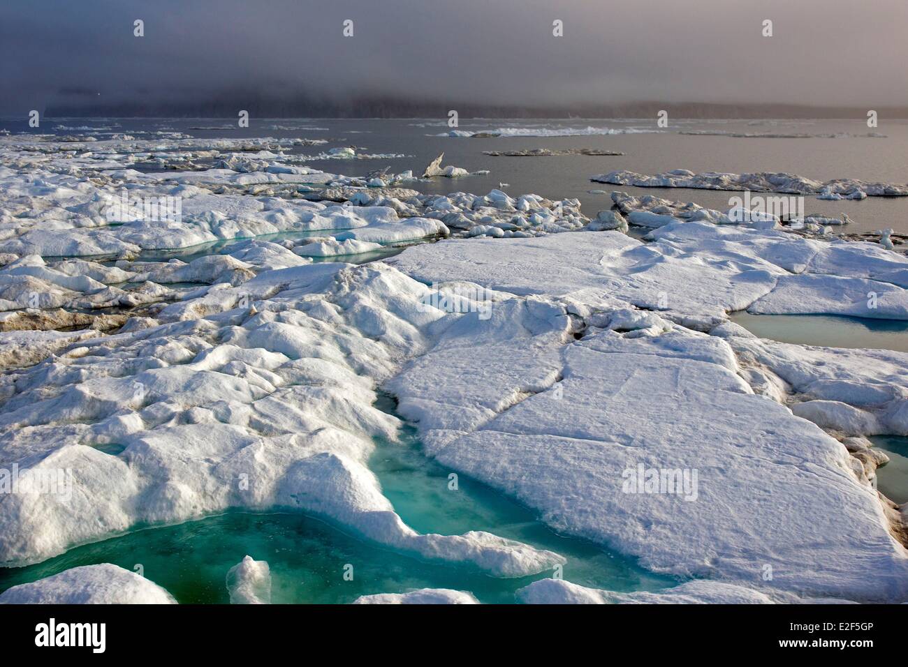 Russland, autonomen Bezirk Tschukotka, Herald-Insel Nord östlich von Wrangel Island, Packeis Stockfoto