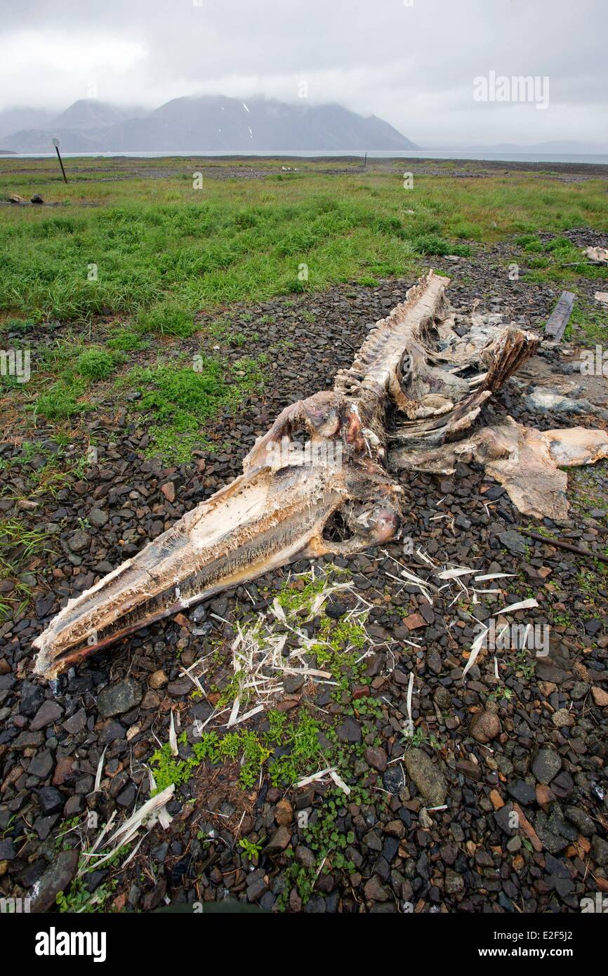 Russland-Tschukotka autonomen Bezirk Beringmeer Preobrazheniya Bay in der Nähe von Kap Dezhnev (Kalifornien Punkt von der eurasischen Stockfoto