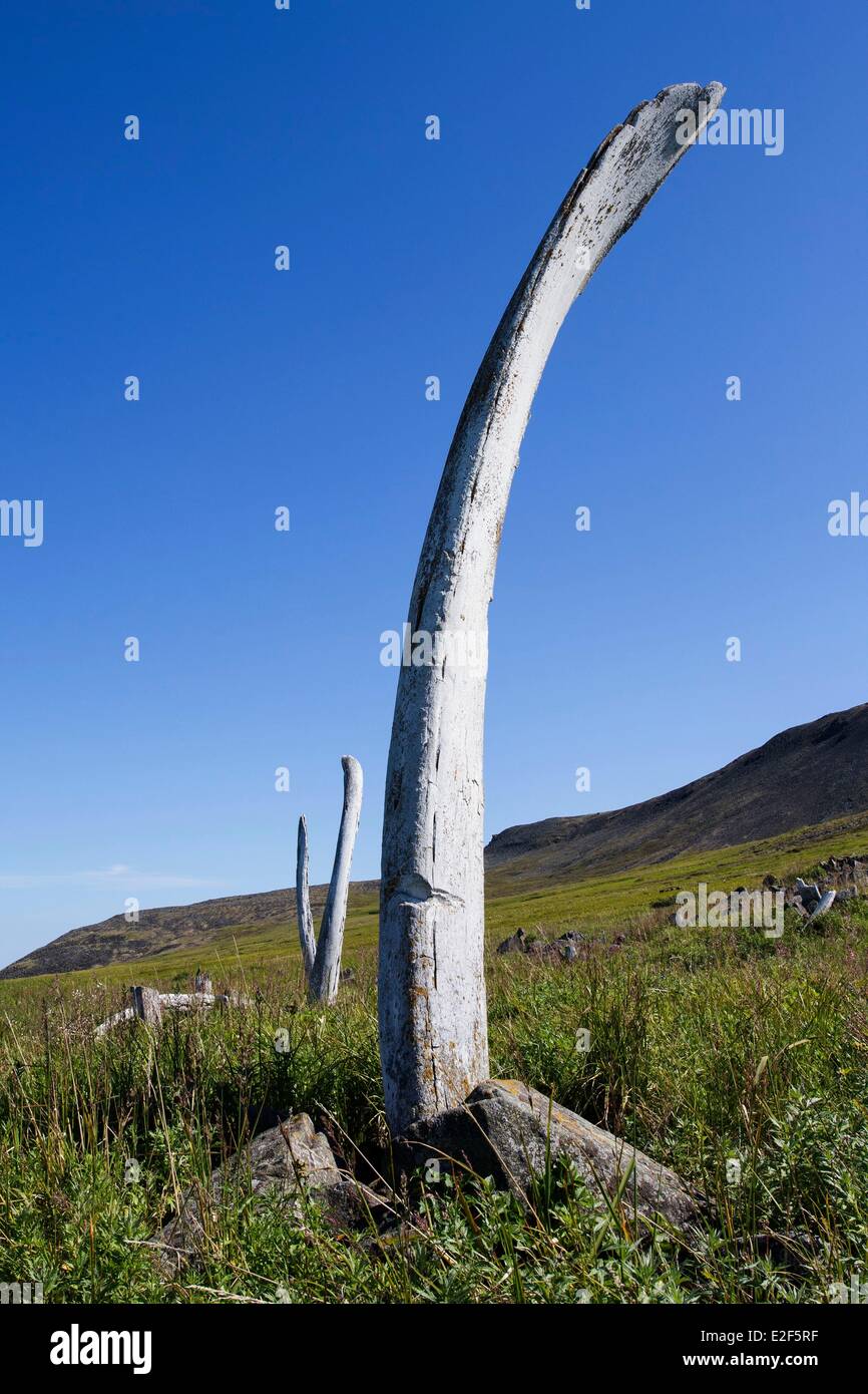 Russland, autonomen Bezirk Tschukotka, Yttygran Insel, Whale Bone Gasse, Überreste der Kieferknochen der Grauwale oder Grönlandwale Stockfoto