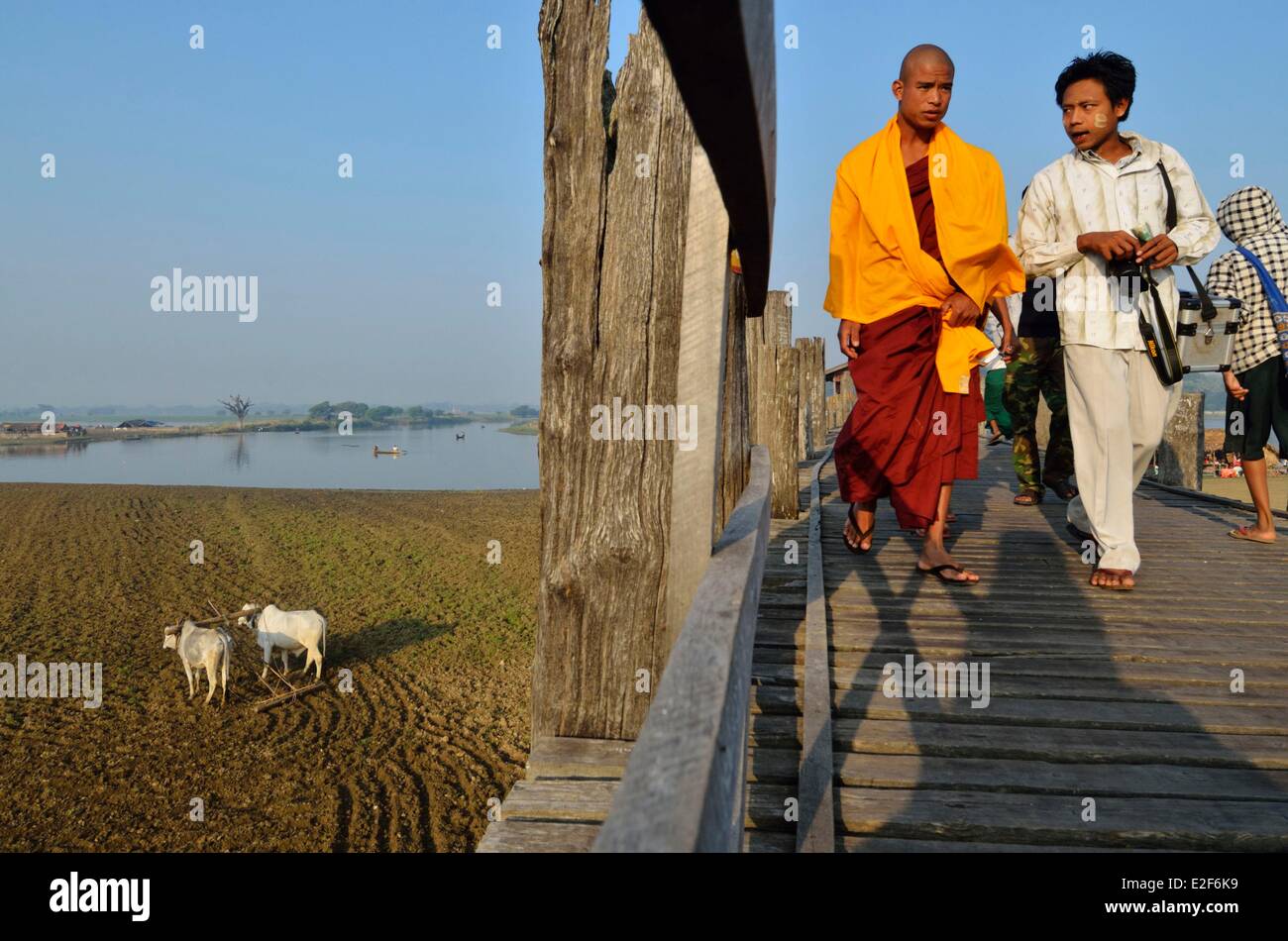 Myanmar (Burma), Mandalay-Division, Amarapura, Taungthaman See U Bein Brücke aus Teak Holz Stockfoto