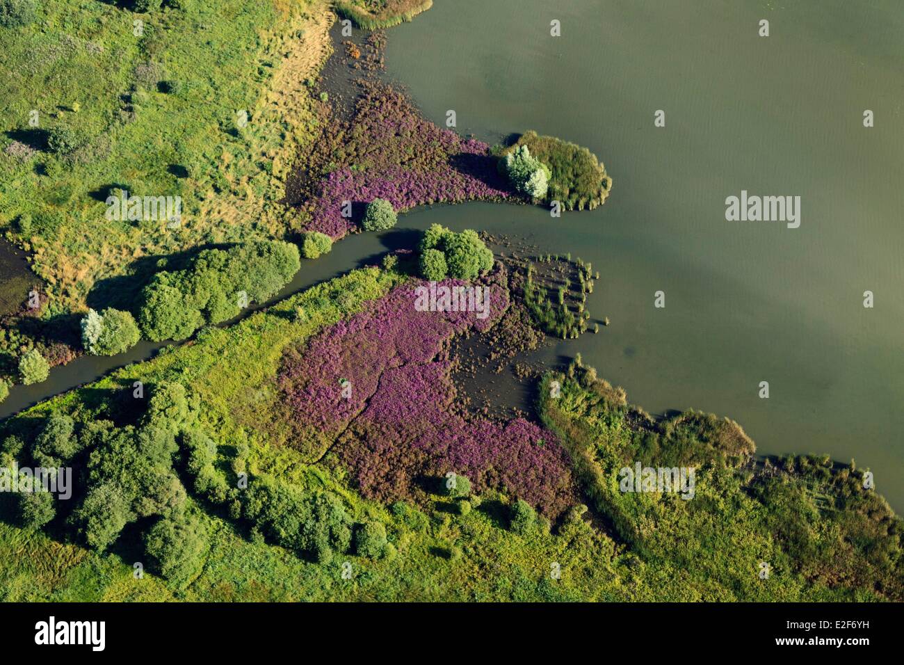 Frankreich, Yvelines, Trappes En Yvelines, Freizeit und Natur Reservat von Saint Quentin En Yvelines (Luftbild) Stockfoto