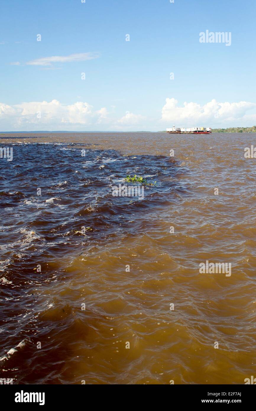 Brasilien Amazonas Staat Amazonas Phänomen des Treffens der Gewässer das schwarze Wasser des Rio Negro treffen die weißen Wasser Stockfoto